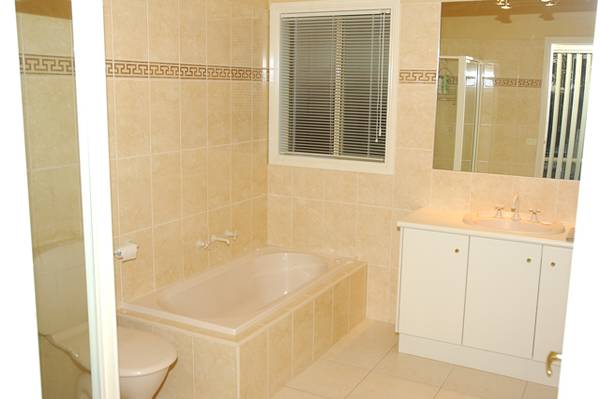 ELEGANCE PLUS Picture 2