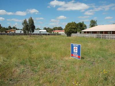 A Rosedale Ripper! Picture