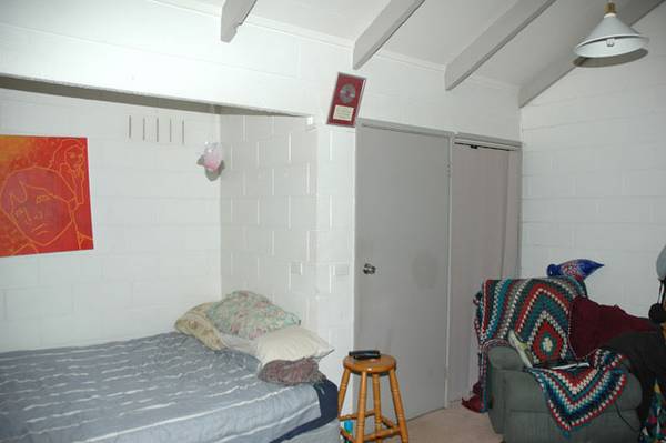 Neat Little Earners! Picture 3