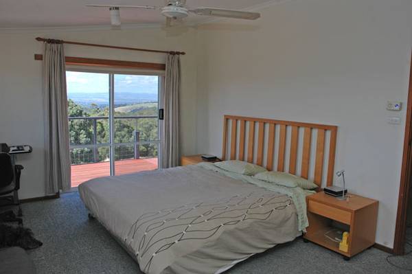 Attention Dog owners/breeders Picture 2