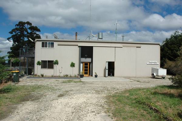 Attention Dog owners/breeders Picture 1