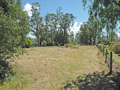 Toongabbie Tried & True! Picture Toongabbie Tried & True! Picture