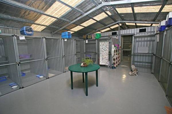 Cats Cottage Picture 3