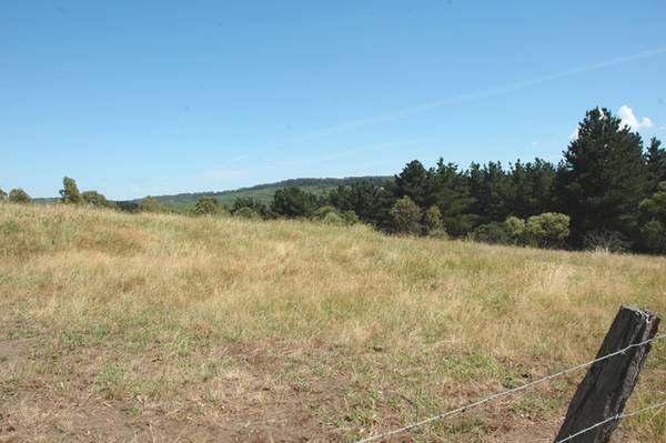 2 acres in Tyers Picture 2