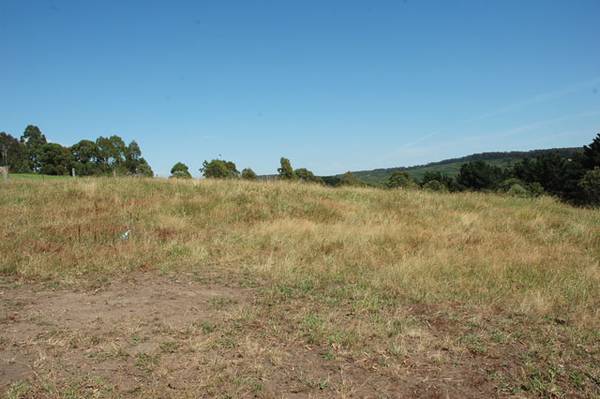 2 acres in Tyers Picture 1