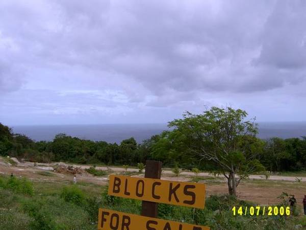 A Small Piece Of Australia In Tropical Asia Picture 2