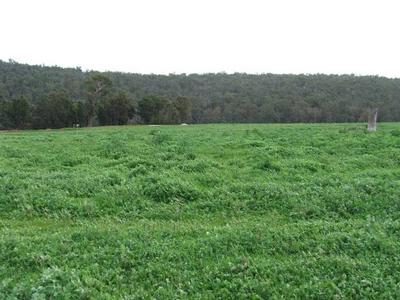 Half An Acre Below $150,000 Picture