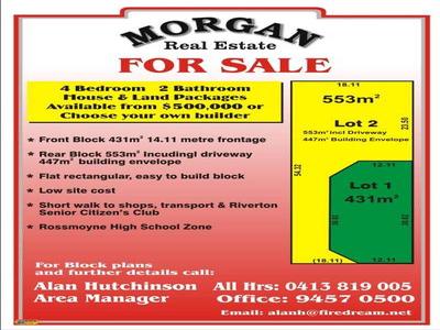 GREEN TITLE BLOCK Picture