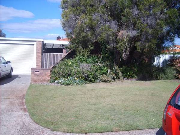 What a beauty!! Picture 2