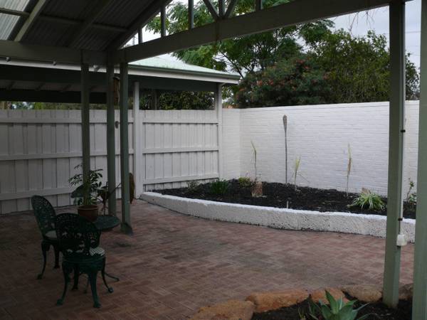 SHELLEY Picture SHELLEY Picture