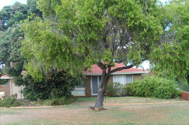 ROSSMOYNE HIGH SCHOOL ZONE- UNDER APPLICATION Picture