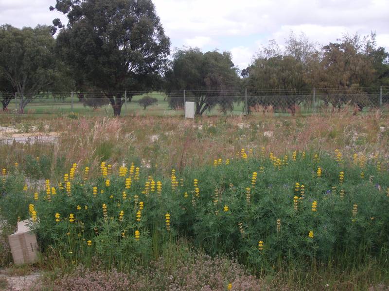 TRANQUIL EASY LIVING Picture 2