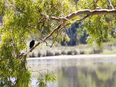 Build Your Dream Picture Build Your Dream Picture