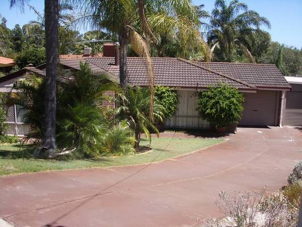 THE ENTERTAINER! Picture 1