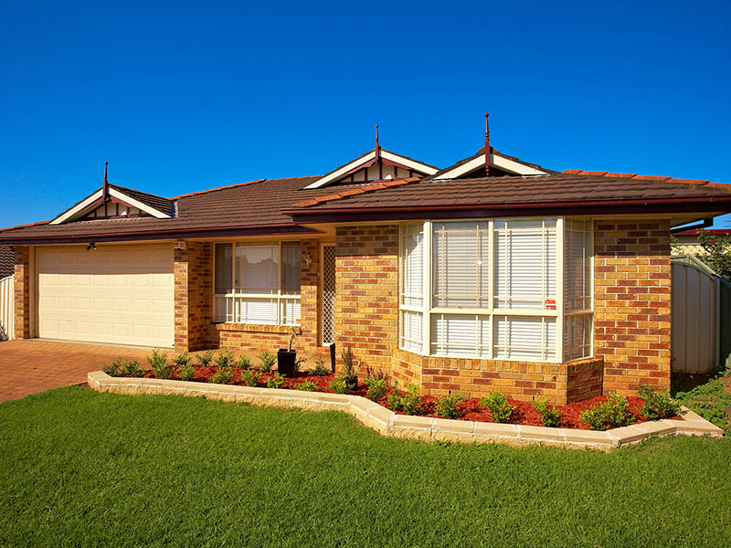 Something Special ! Picture 1