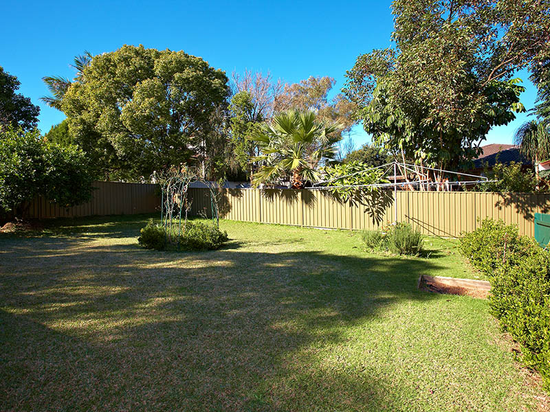 Rare Opportunity! Picture 3