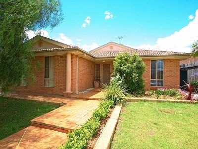 Glenwood Delight! Picture