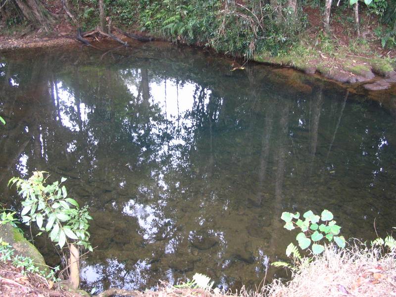 Fabulous Family Home Picture 2