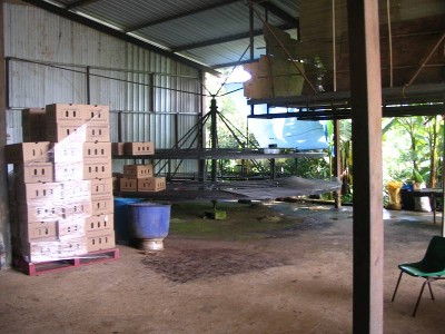 Banana Farm on 35.93 ha Picture