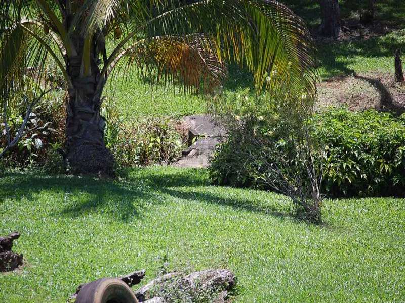 Come home to tranquility Picture 3