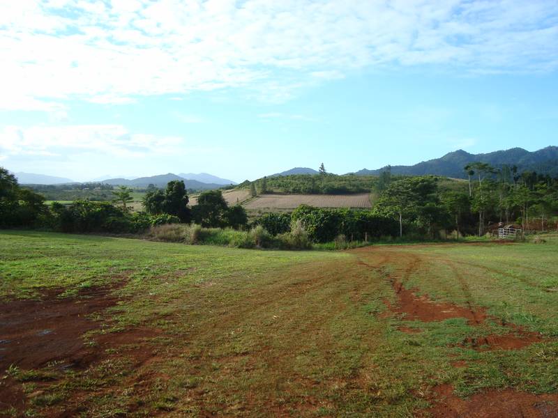 Large Block with Large Shed Picture 2