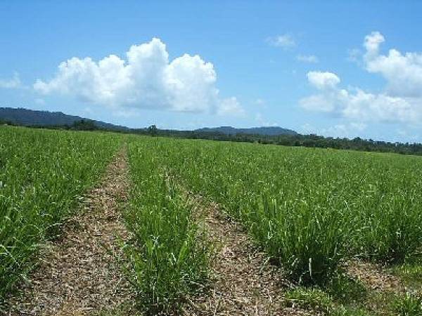 67 acres - Beautiful Location Picture 1