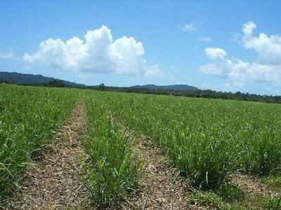 67 acres - Beautiful Location Picture