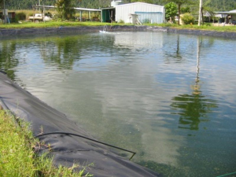 Aquaculture Farm Picture 1