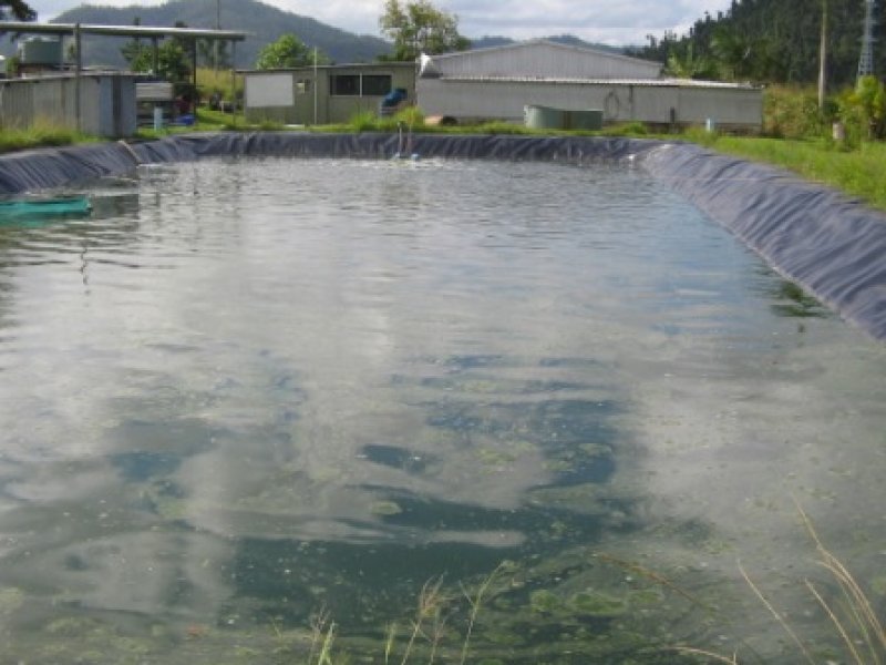 Aquaculture Farm Picture 3