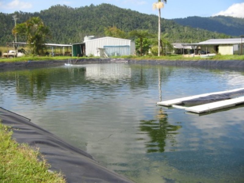 Aquaculture Farm Picture 2