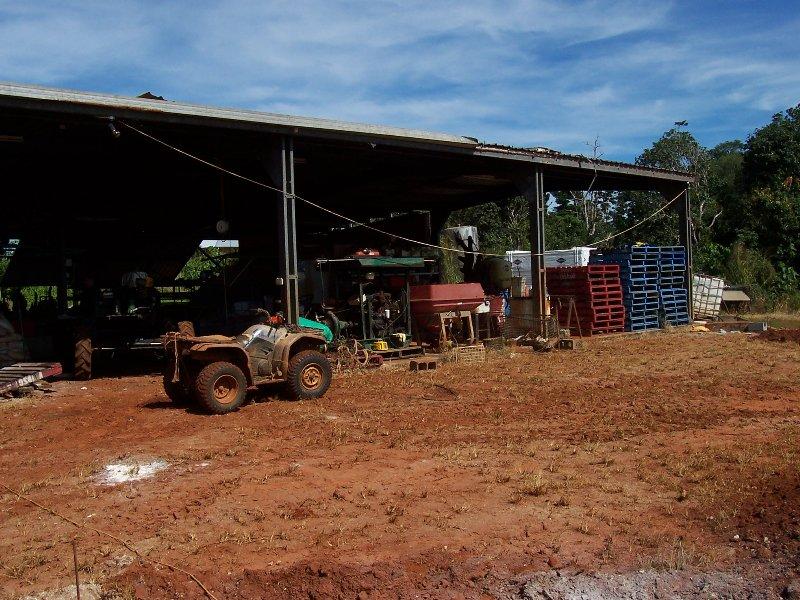 Banana Farm Picture 3