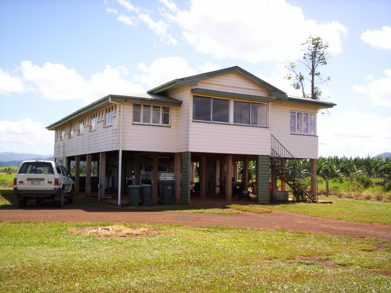 BANANAS AND CATTLE Picture 1