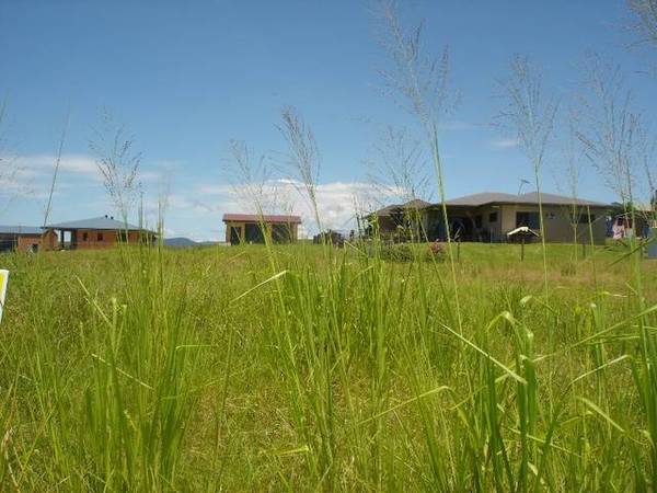 Build your beautiful home on the beautiful block Picture 1