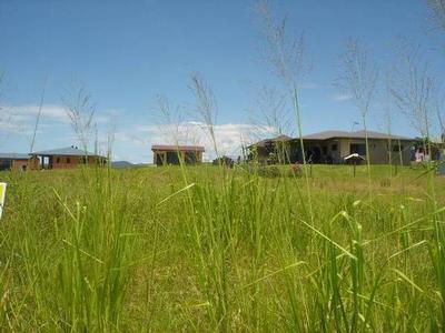 Build your beautiful home on the beautiful block Picture Build your beautiful home on the beautiful block Picture