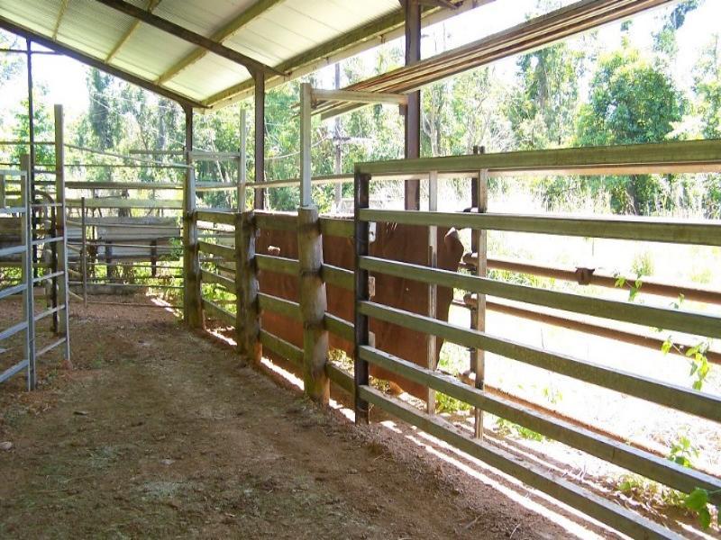 Cattle Fattening - Woopen Creek - 502 acres Picture 3