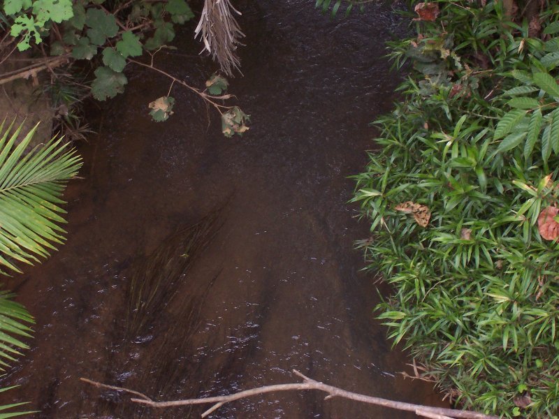 COUNTRY LIVING Picture 3