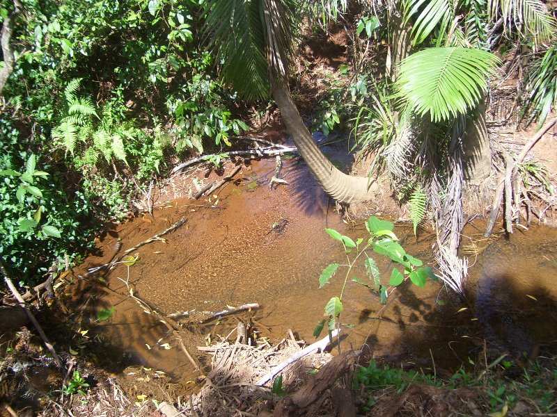 Income Potential or LIfestyle Plus Picture 2