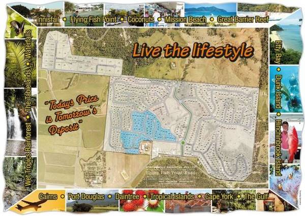 On the Rise Picture 1