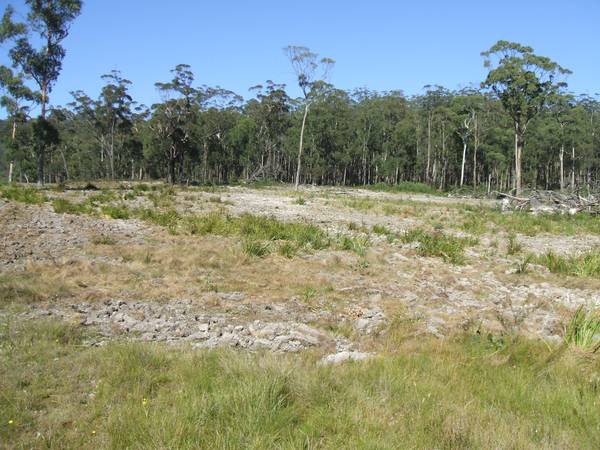 Berlang South Picture 3