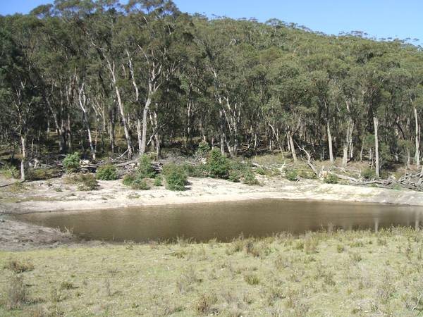 Berlang South Picture 1