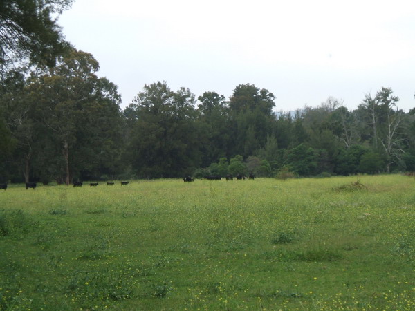 Araluen Acres Picture 3