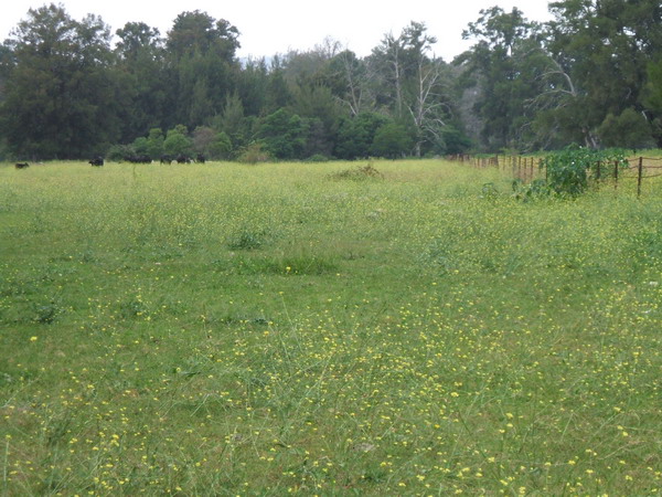 Araluen Acres Picture 2