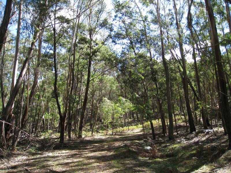 Last Frontier Picture 3