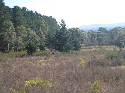 Perfect Small Acreage Picture