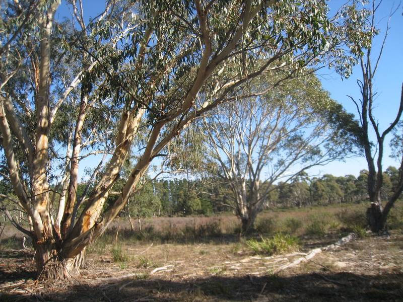 Perfect Small Acreage Picture 3