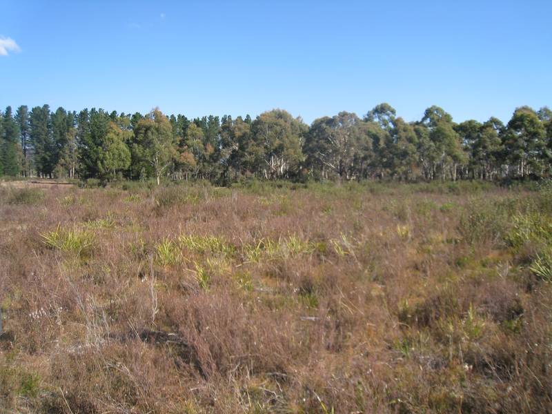 Perfect Small Acreage Picture 2