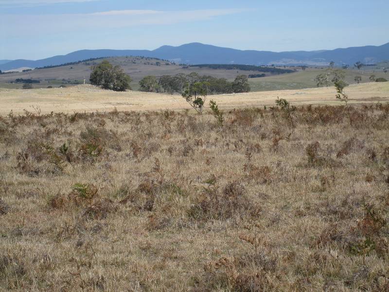 Perfect Hobby Block Picture