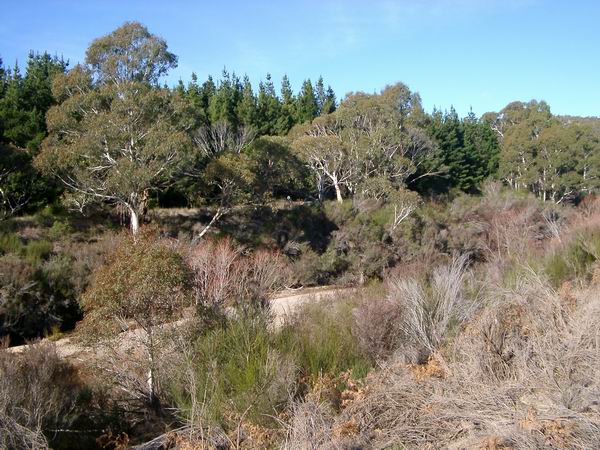 Shoalhaven River Property Picture 2