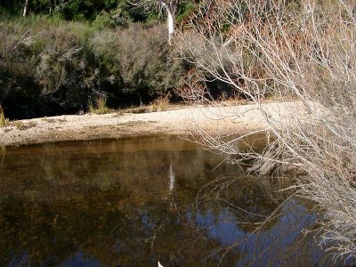 Shoalhaven River Property Picture