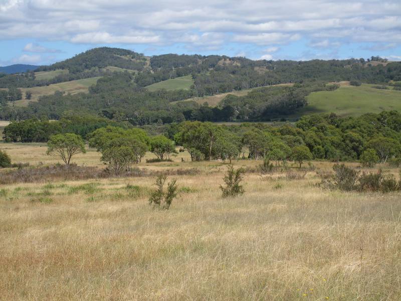 Rural Acres Picture 1